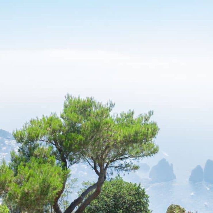 Riscoprire Capri: le esperienze uniche da vivere durante l’inverno