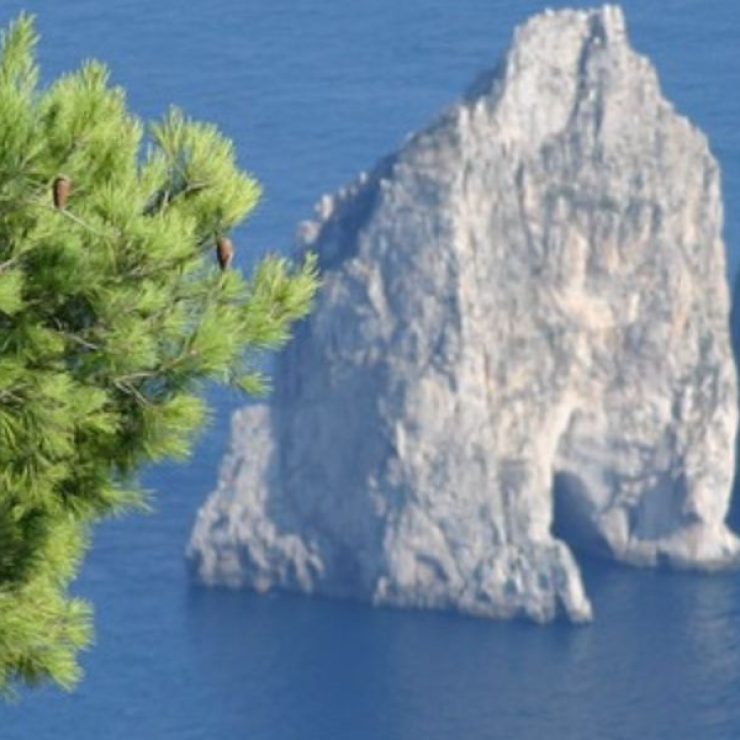 Capri: il set perfetto tra mare e lusso