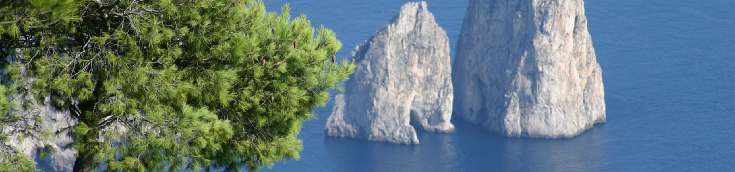 Capri: il set perfetto tra mare e lusso