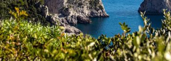 Feste private a Capri sotto le stelle