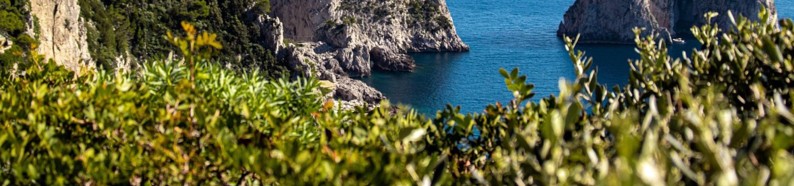 Feste private a Capri sotto le stelle