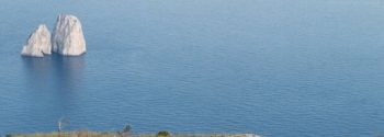 Esperienza detox a Capri: rigenerare corpo e mente